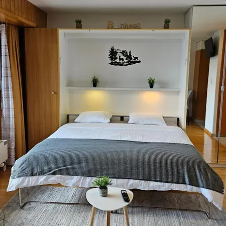 4103 Les Sources Aux Bains D'ovronnaz 아파트 오브로나즈