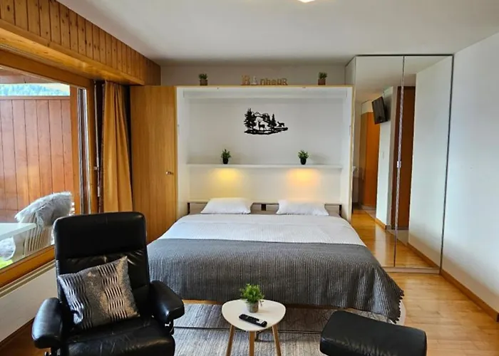 4103 Les Sources Aux Bains D'ovronnaz *