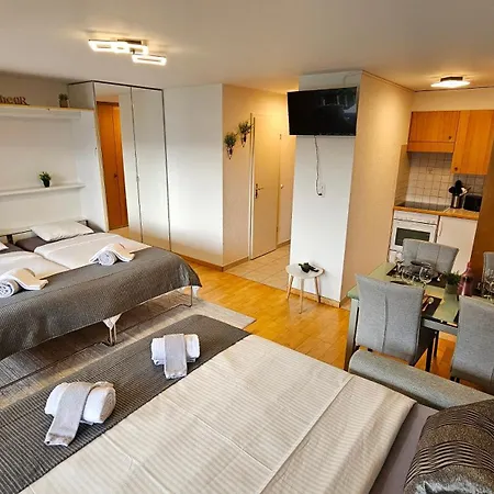 4103 Les Sources Aux Bains D'ovronnaz *